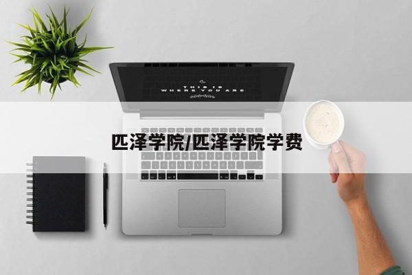 匹泽学院/匹泽学院学费