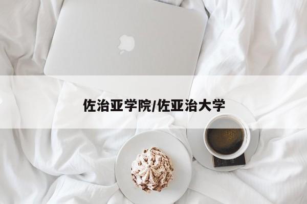 佐治亚学院/佐亚治大学