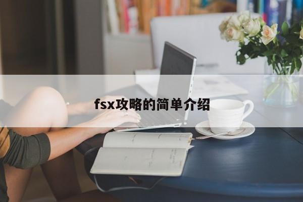 fsx攻略的简单介绍