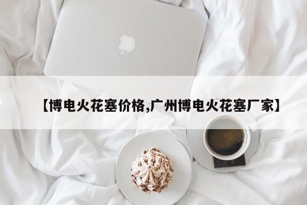 【博电火花塞价格,广州博电火花塞厂家】