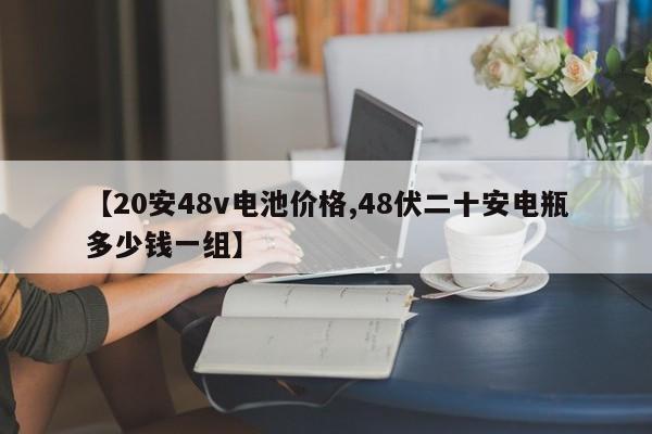 【20安48v电池价格,48伏二十安电瓶多少钱一组】