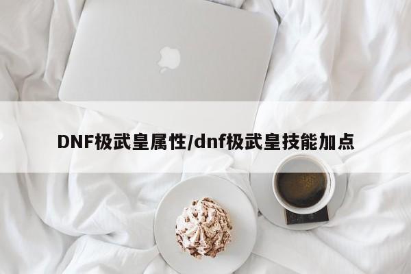 DNF极武皇属性/dnf极武皇技能加点