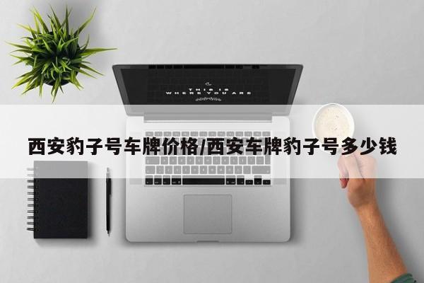 西安豹子号车牌价格/西安车牌豹子号多少钱