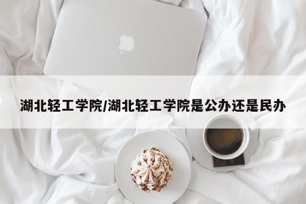 湖北轻工学院/湖北轻工学院是公办还是民办