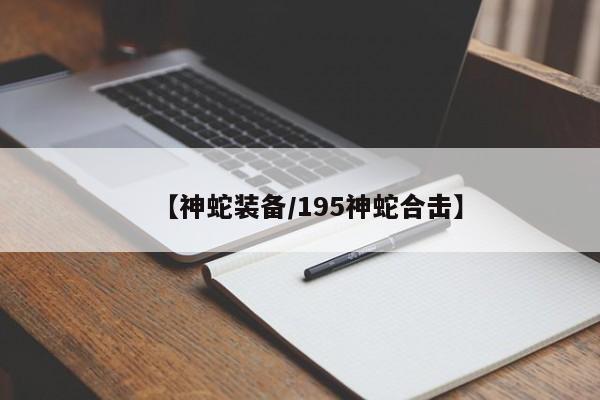 【神蛇装备/195神蛇合击】