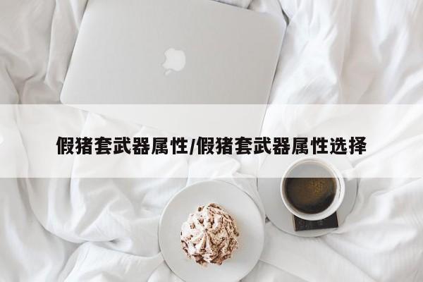 假猪套武器属性/假猪套武器属性选择
