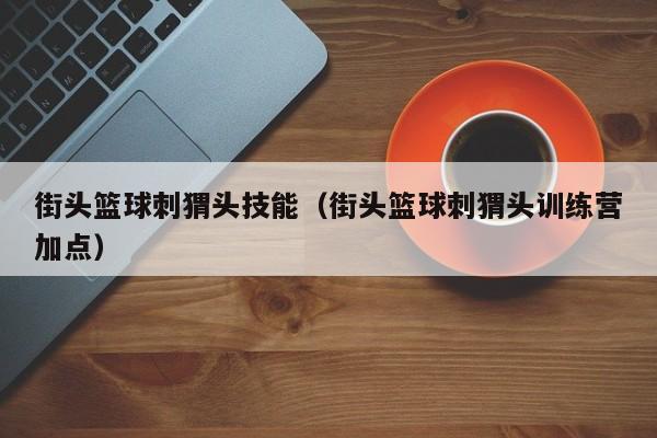 街头篮球刺猬头技能（街头篮球刺猬头训练营加点）