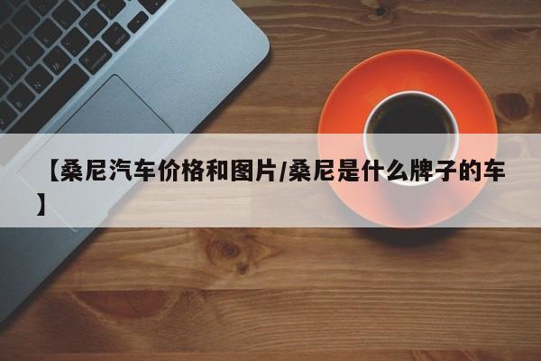 【桑尼汽车价格和图片/桑尼是什么牌子的车】