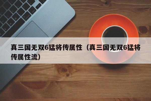 真三国无双6猛将传属性（真三国无双6猛将传属性流）