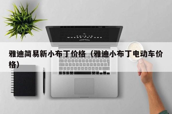雅迪简易新小布丁价格（雅迪小布丁电动车价格）