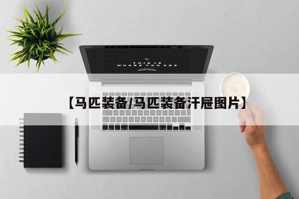 【马匹装备/马匹装备汗屉图片】
