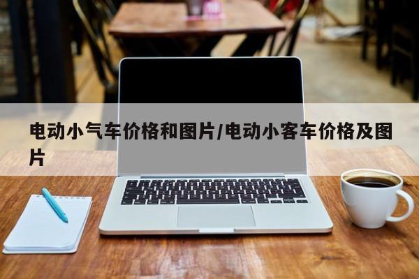 电动小气车价格和图片/电动小客车价格及图片