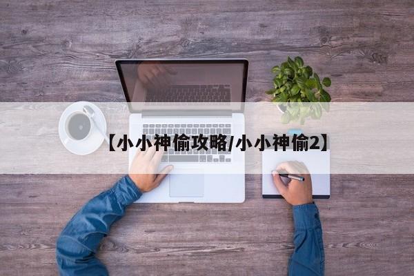 【小小神偷攻略/小小神偷2】