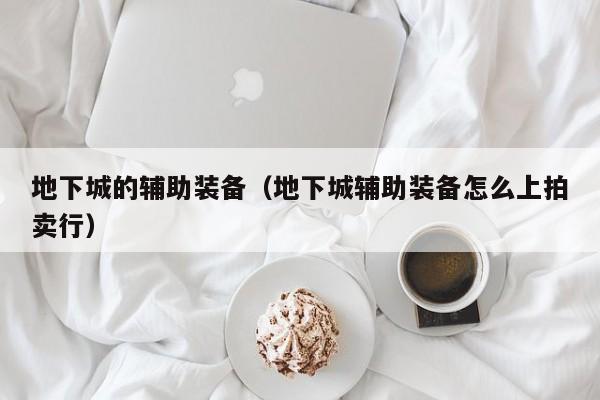 地下城的辅助装备（地下城辅助装备怎么上拍卖行）