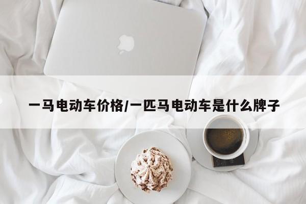 一马电动车价格/一匹马电动车是什么牌子